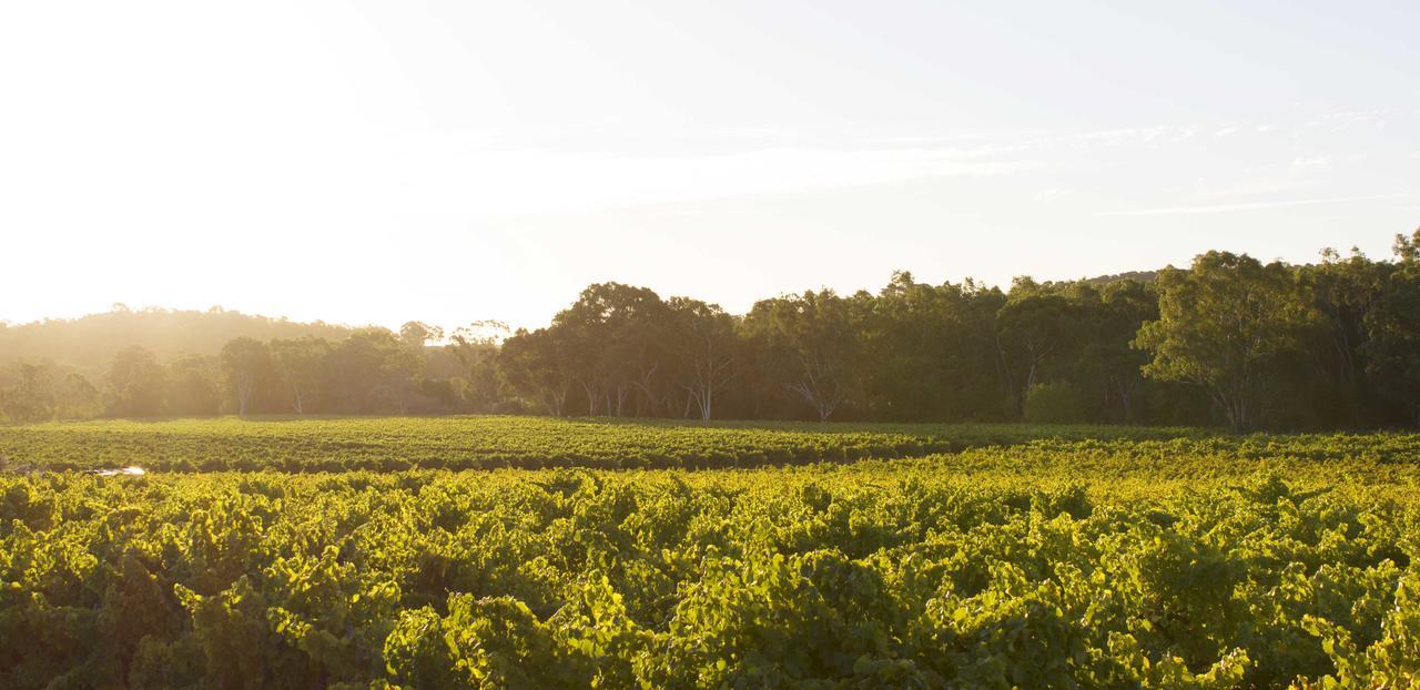 Bed & Breakfast At Tiffany'S Mclaren Vale Luaran gambar